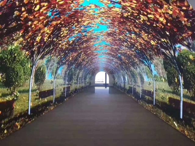 PH2軟模組LED顯示屏
